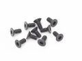 INFINITY B02205 M2x5mm フラットヘッドスクリュー(10 個)