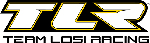 TEAM LOSI